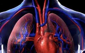La detección precoz y el abordaje multidisciplinar, claves para el manejo de la Hipertensión Arterial Pulmonar