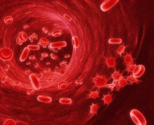 Los nuevos fármacos dirigidos a la hepatopatía y trombocitopenia evitan la transfusión de plaquetas