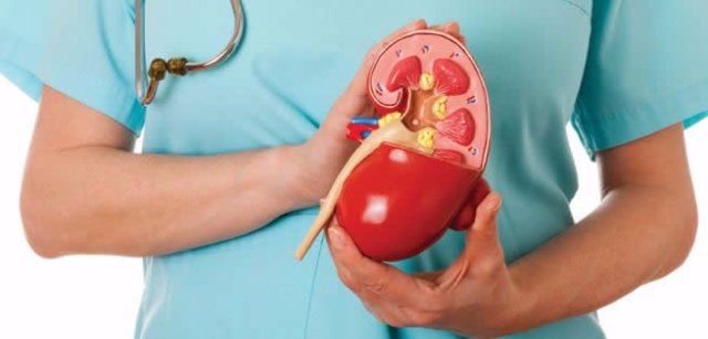 Resultados clínicos en receptores de trasplante renal posterior a la conversión a imTOR