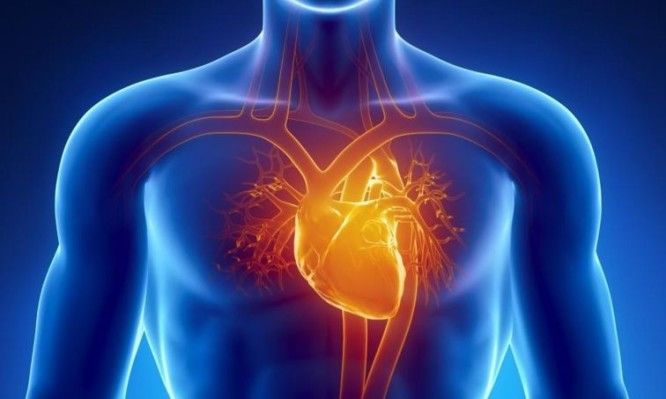 Efecto de la Revascularización Coronaria Electiva vs. Tratamiento Médico en la Mortalidad No Cardíaca