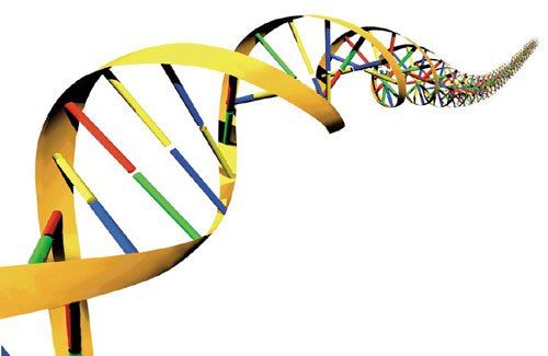 “Una nueva mutación del gen PTCH1 en una familia española con Síndrome de Gorlin”