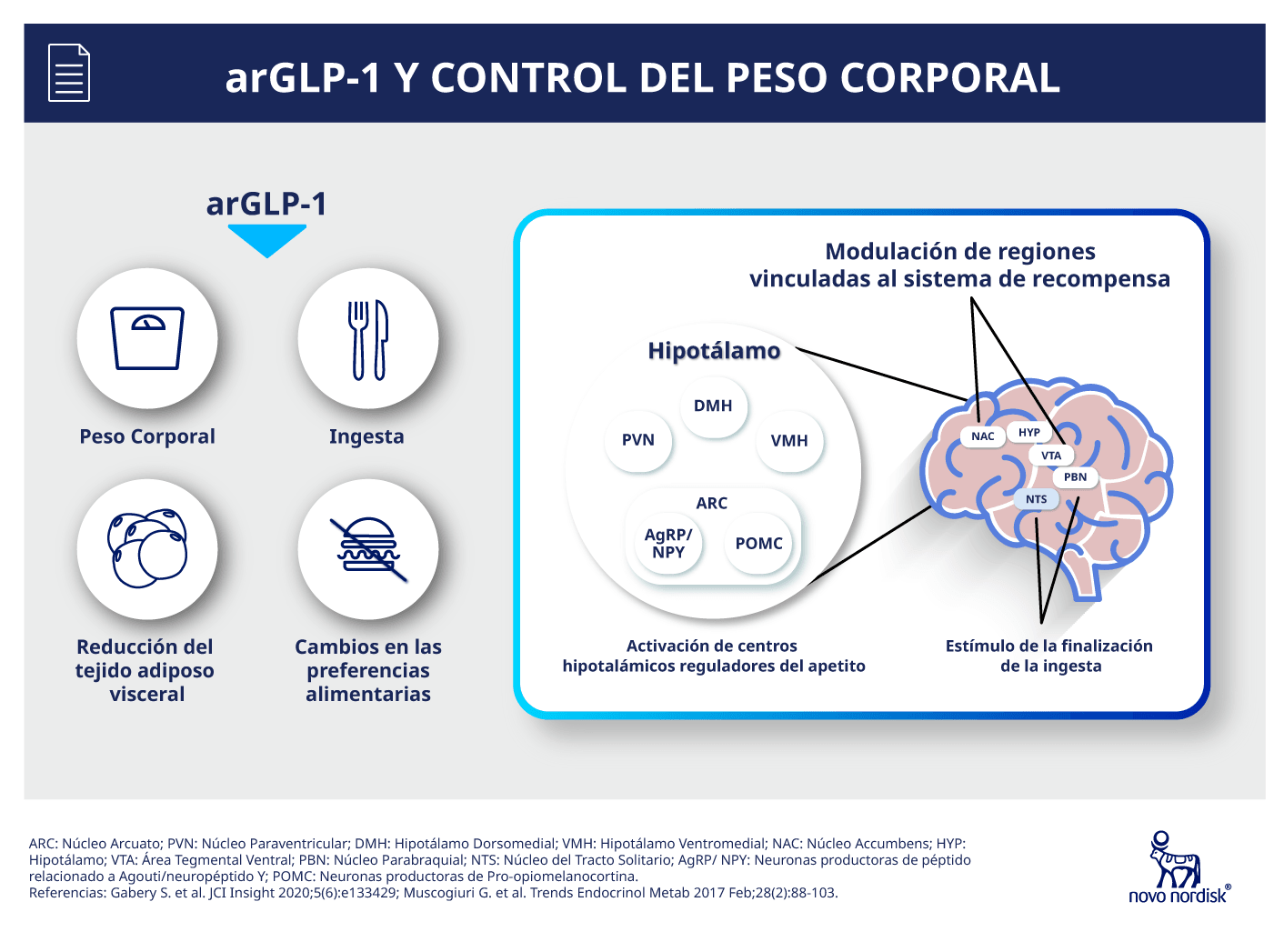 arGLP-1 y control del peso corporal.
