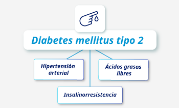 Diabetes y Ateroesclerosis.