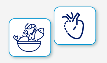 Plan de alimentación y riesgo cardiovascular.