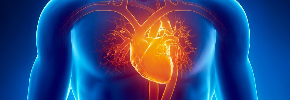 Miocardiopatía no compactada como causa de Insuficiencia Cardíaca en Lupus Eritematoso Sistémico