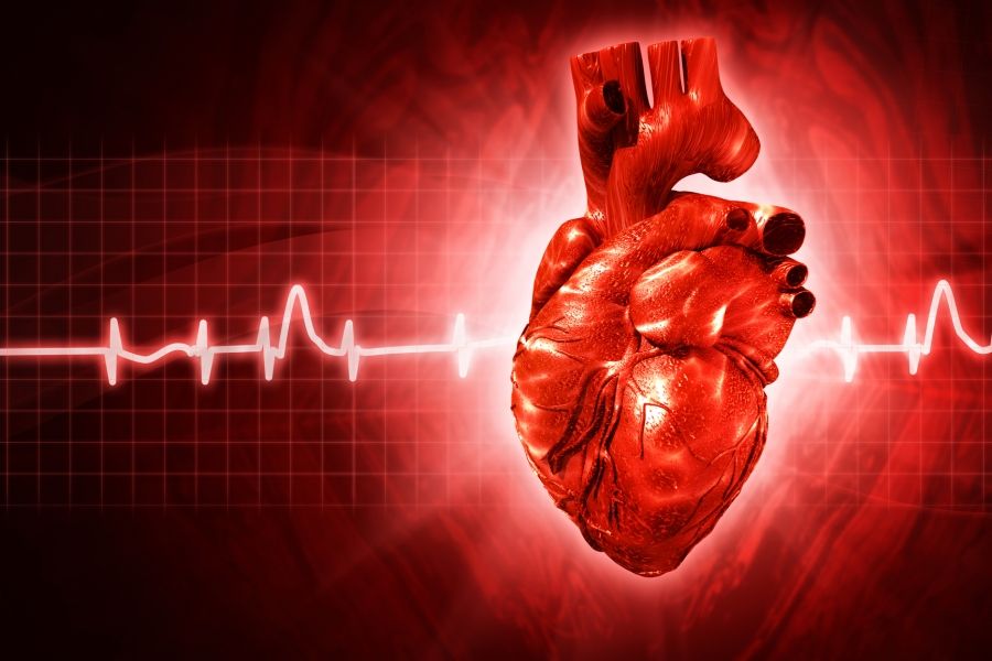 Insuficiencia mitral secundaria: Clasificación según daño cardiaco y su implicancia pronóstica luego de la reparación de la válvula mitral borde a borde