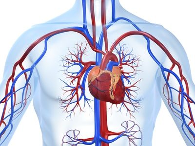 La COVID-19 grave multiplica por 10 el riesgo de unas peligrosas afecciones cardiacas