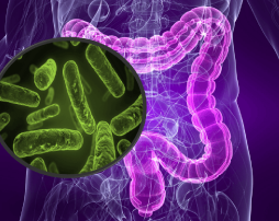 Diagnóstico temprano del cáncer colorrectal mediante el análisis del metagenoma intestinal