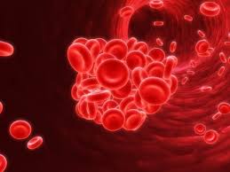 Cómo los investigadores del Instituto Nacional del Corazón, los Pulmones y la Sangre están desbloqueando la ciencia de los coágulos sanguíneos
