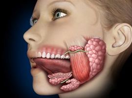 Biopsia de glándula salival menor: su importancia en artritis reumatoidea y Síndrome de Sjögren secundario