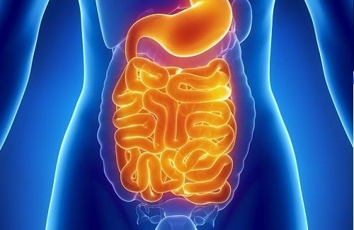 Teduglutida en pacientes adultos con falla intestinal crónica por síndrome de intestino corto: protocolo de manejo con base en recomendaciones de expertos
