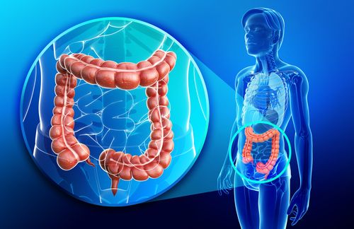 Enfermedad de Crohn perianal: implicaciones clínicas, pronósticas y consumo de recursos