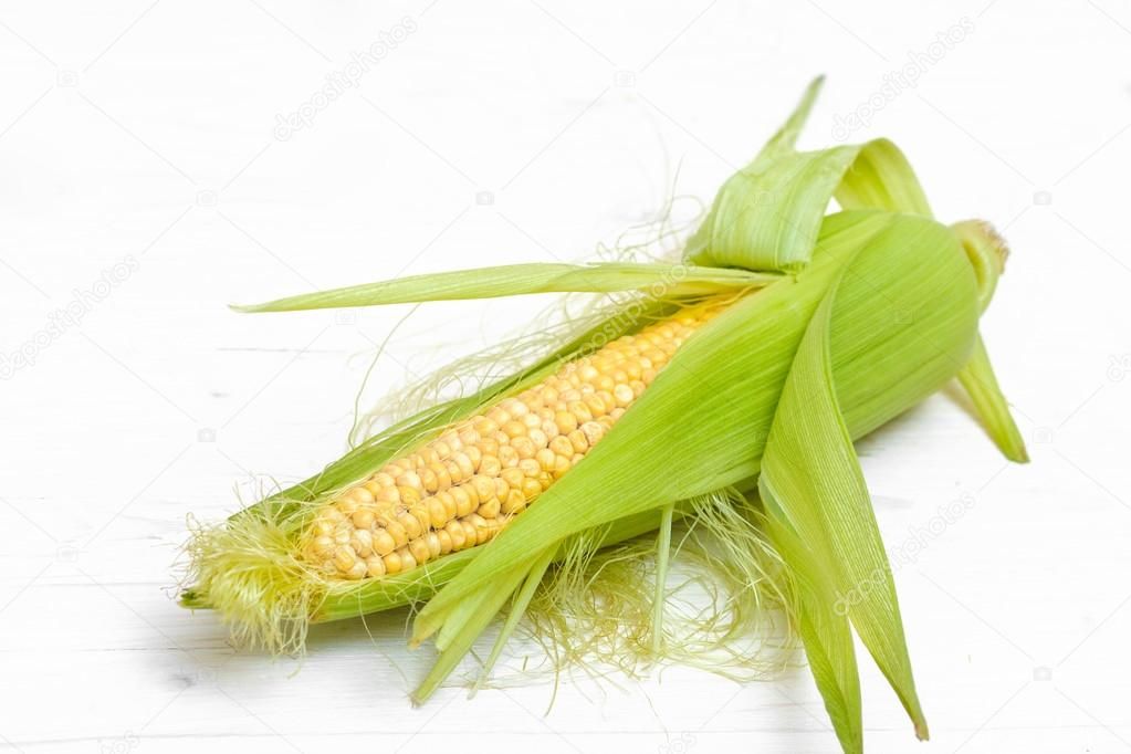 Efecto de los procesos de congelación y descongelación sobre los almidones en un alimento a base de maíz