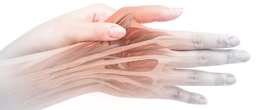 Reconstrucción de ruptura crónica del aparato extensor del dedo con autoinjerto de palmaris longus: Reporte de caso