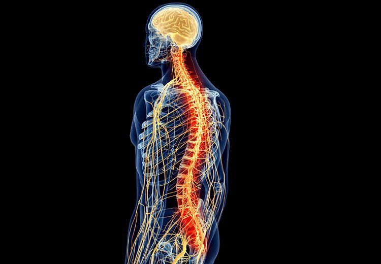 Estimulación de cordones posteriores de la médula espinal y el síndrome doloroso regional complejo: Serie de casos