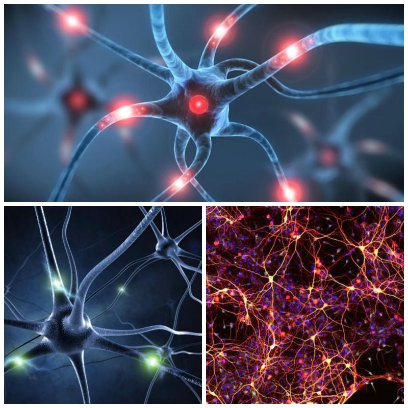 Un estudio pionero descubre que los tumores cerebrales ‘hackean’ la comunicación entre neuronas