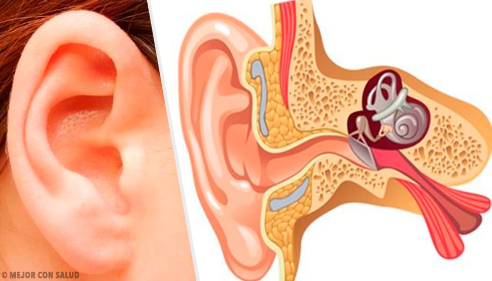 Detección de novedad y codificación predictiva en el sistema auditivo: Impacto clínico en disfunciones auditivas y vestibulares. Revisión de la literatura