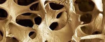 La resistencia mecánica tisular ósea es independiente de la edad en individuos sanos
