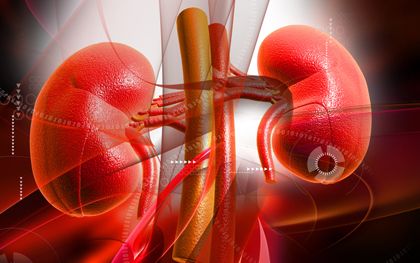 Alteración del índice resistivo renal como factor asociado a lesión renal aguda en pacientes con trauma múltiple severo en la Unidad de Cuidados Intensivos del Hospital General La Villa 
