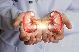 Características clínicas y microbiológicas de las infecciones urinarias en el primer año postrasplante renal