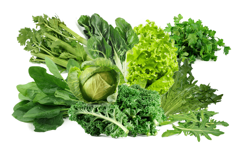 Asocian consumo de verduras de hoja verde con menor declive cognitivo relacionado con la edad