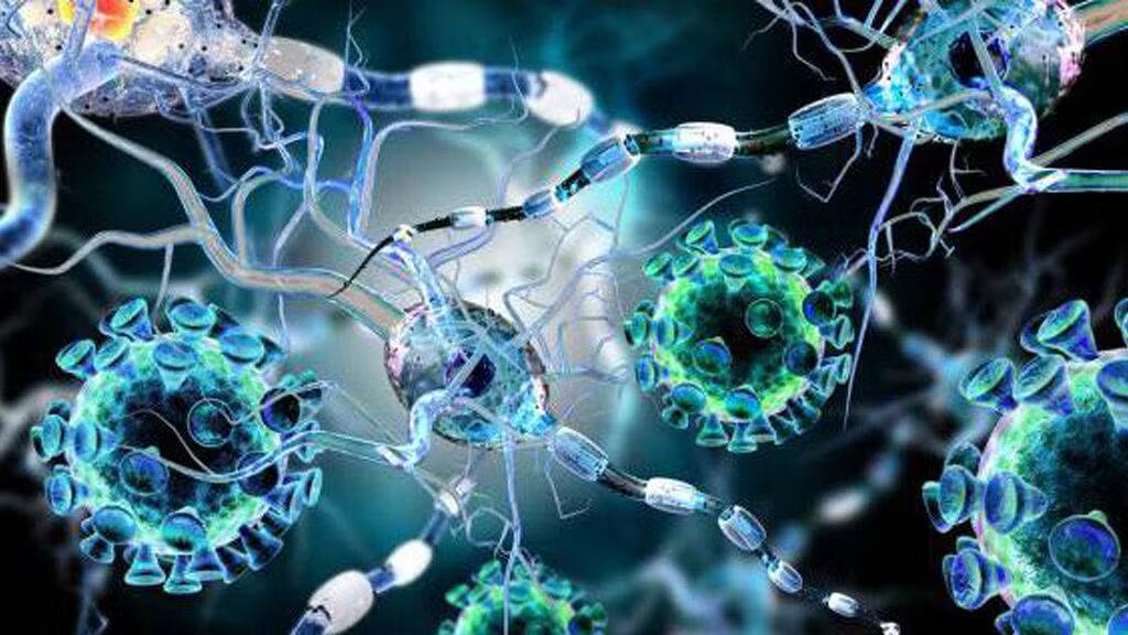 Evaluación de la respuesta mixta en el tamaño del tumor y la supervivencia en pacientes con cánceres raros tratados con terapia con inhibidores de puntos de control duales (DART SWOG S1609)