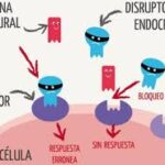 Disruptores endocrinos y enfermedades endocrinológicas en niños y adolescentes